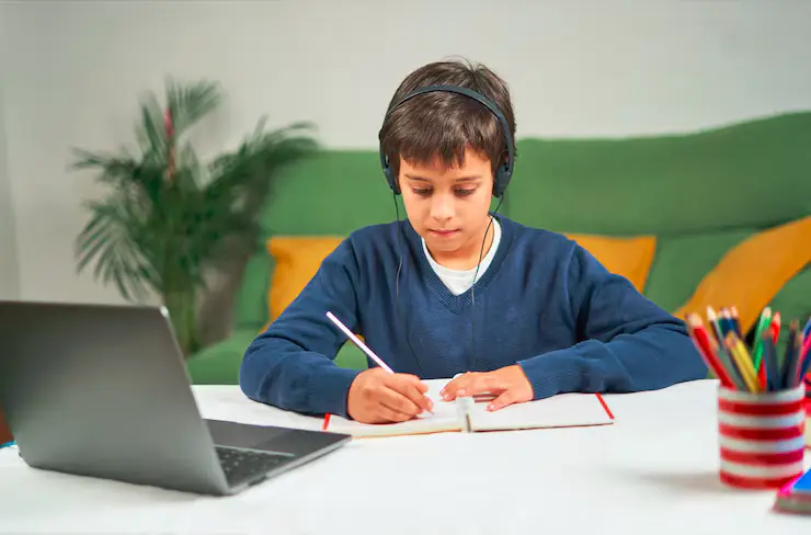 online NAPLAN tutoring at home