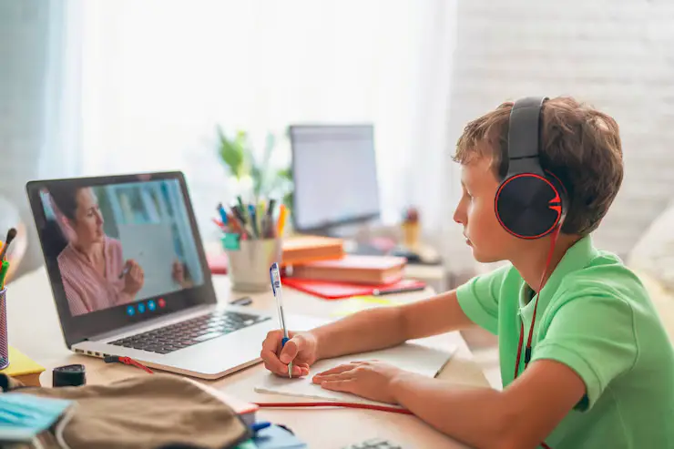 naplan online tutoring